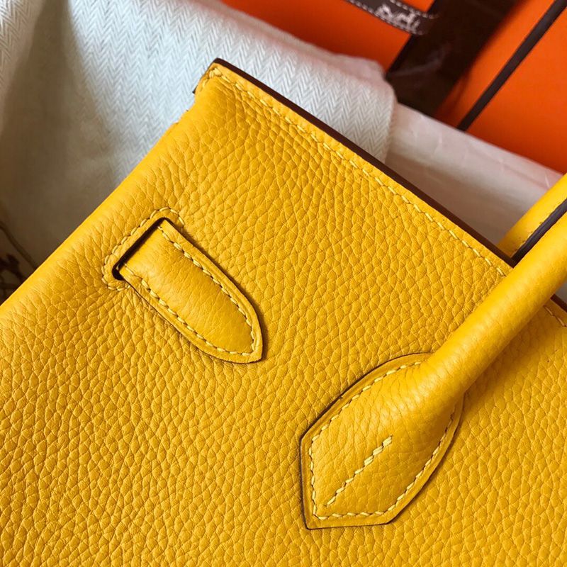 Hermes Birkin Bag Togo Leather Gold Hardware In Yellow