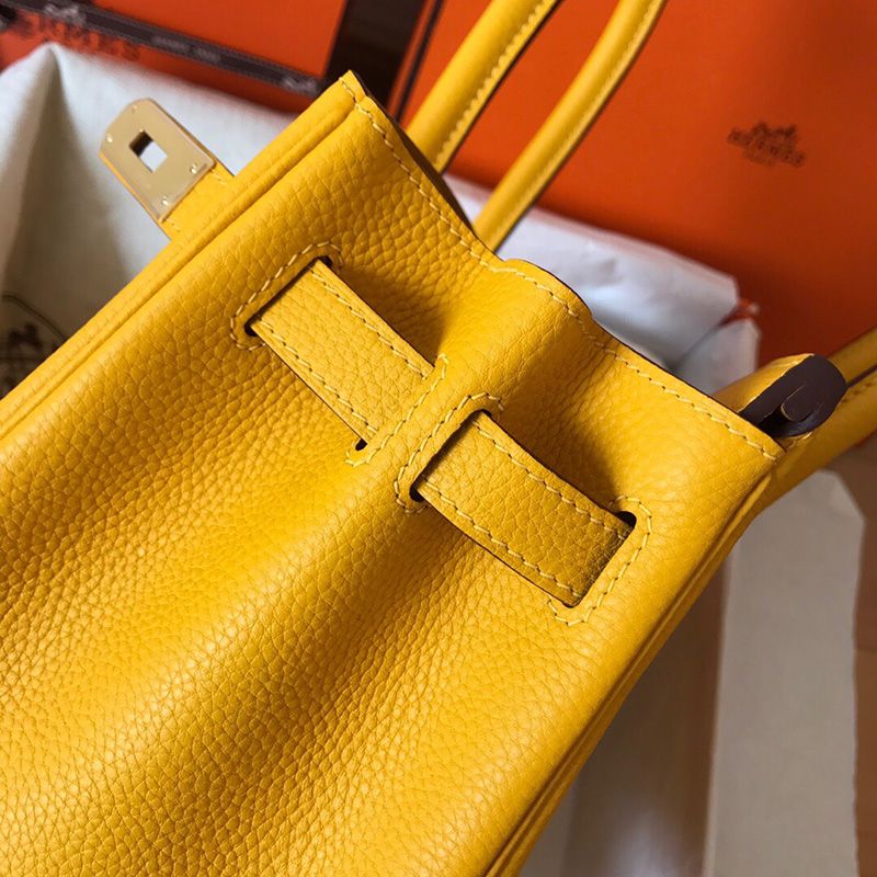 Hermes Birkin Bag Togo Leather Gold Hardware In Yellow