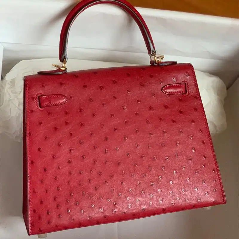 Affordable Hermes Kelly Bag Ostrich Leather Gold Hardware In Red