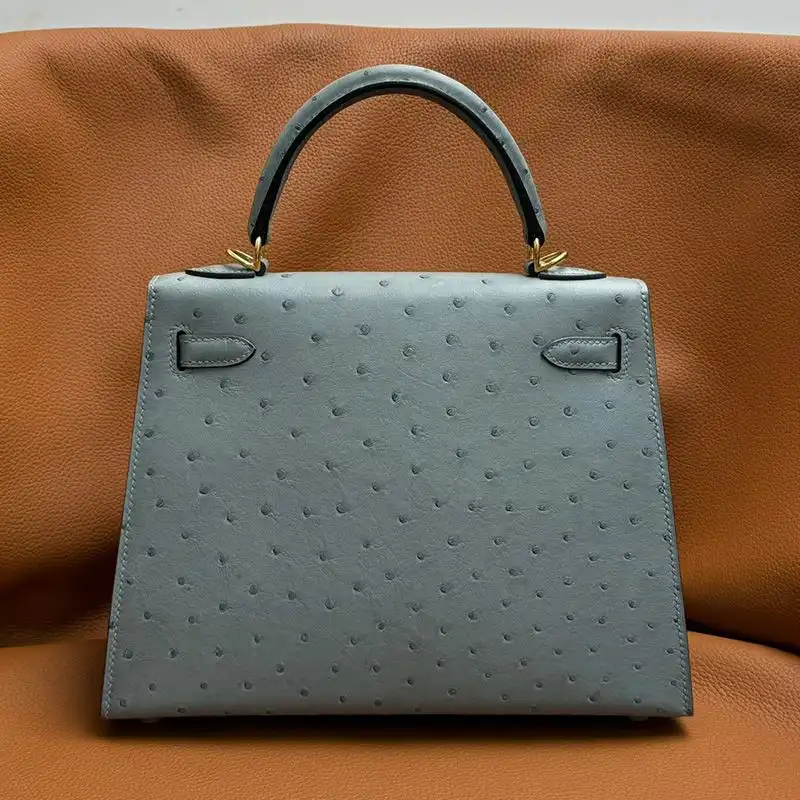 Affordable Hermes Kelly Bag Ostrich Leather Gold Hardware In Sky Blue