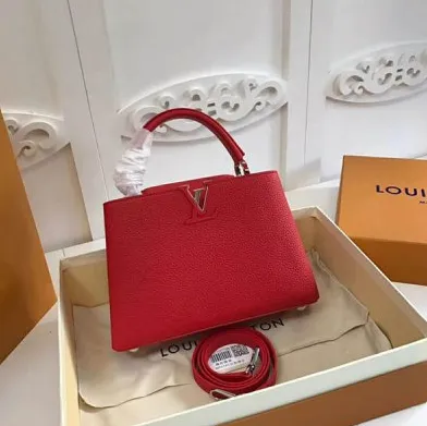 Replica chloe bag Bagsaaa Capucines MM M94754