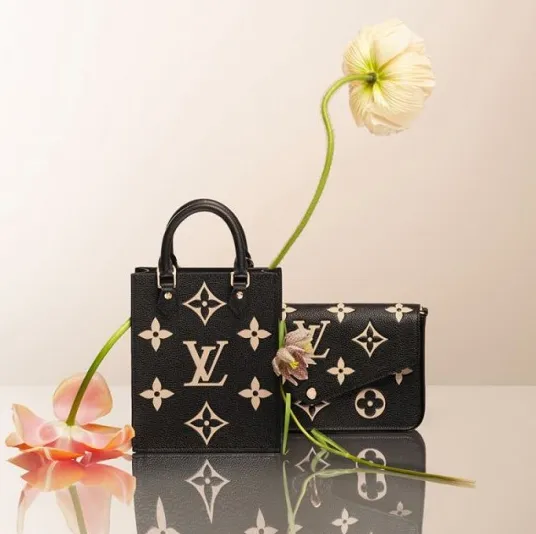 Ouis vuitton christian dior Bagsaaa Félicie Pochette Gray M69977 Black M80482