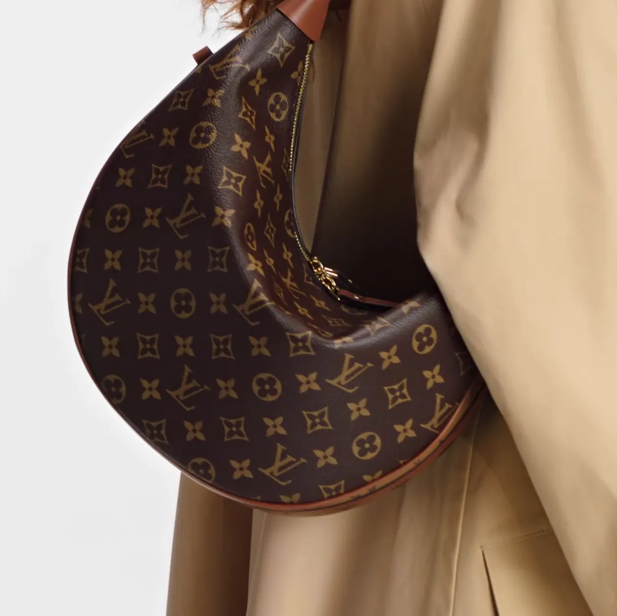 Ouis vuitton christian dior Bagsaaa M46311 Loop Hobo Monogram