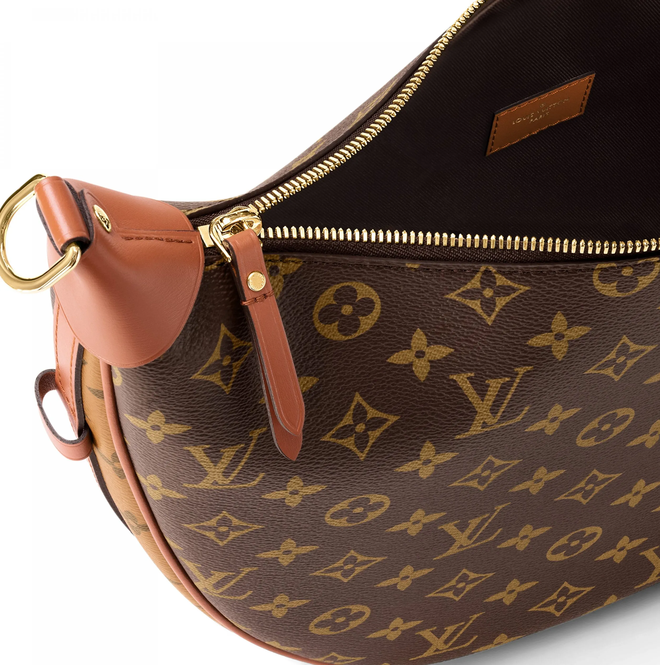 Ouis vuitton christian dior Bagsaaa M46311 Loop Hobo Monogram