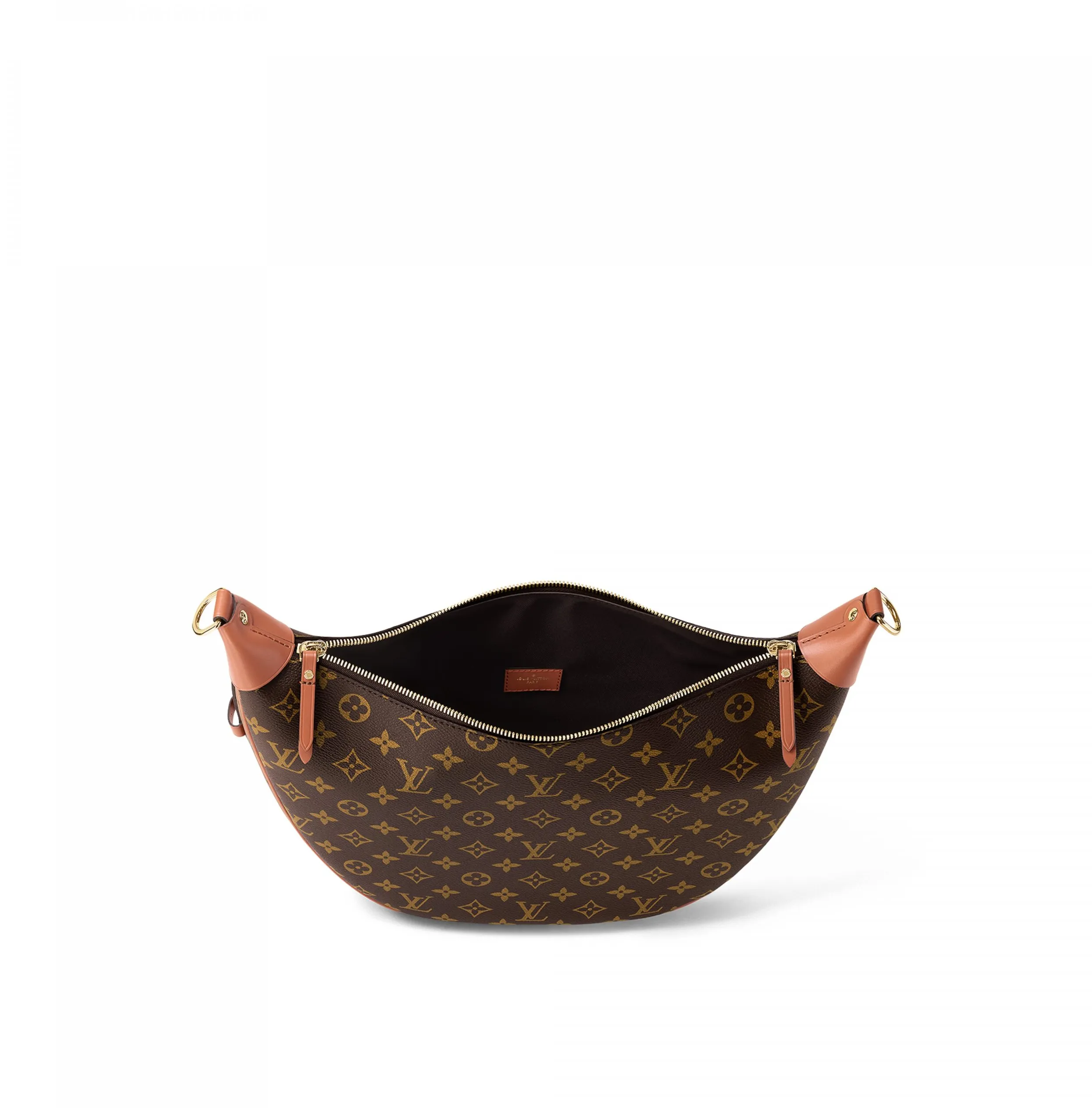 Ouis vuitton christian dior Bagsaaa M46311 Loop Hobo Monogram