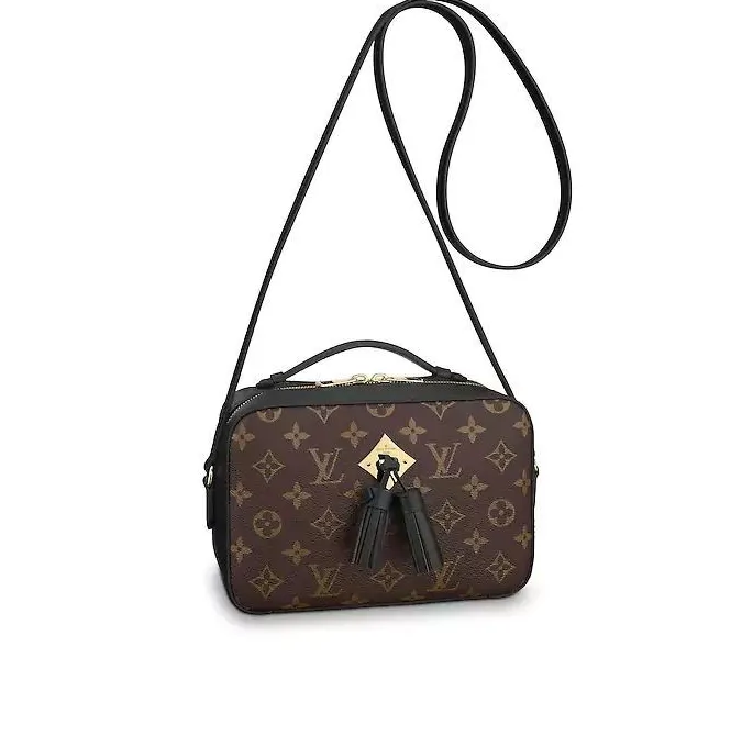 Bagsaaa Saintonge M43555