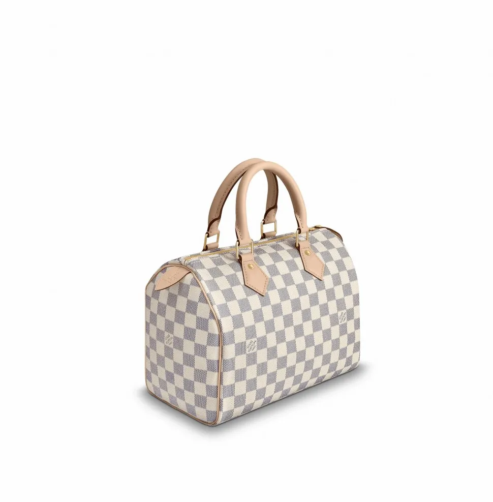 Replica ysl bags Bagsaaa Speedy 25 N41371