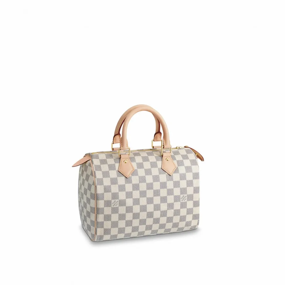 Replica ysl bags Bagsaaa Speedy 25 N41371