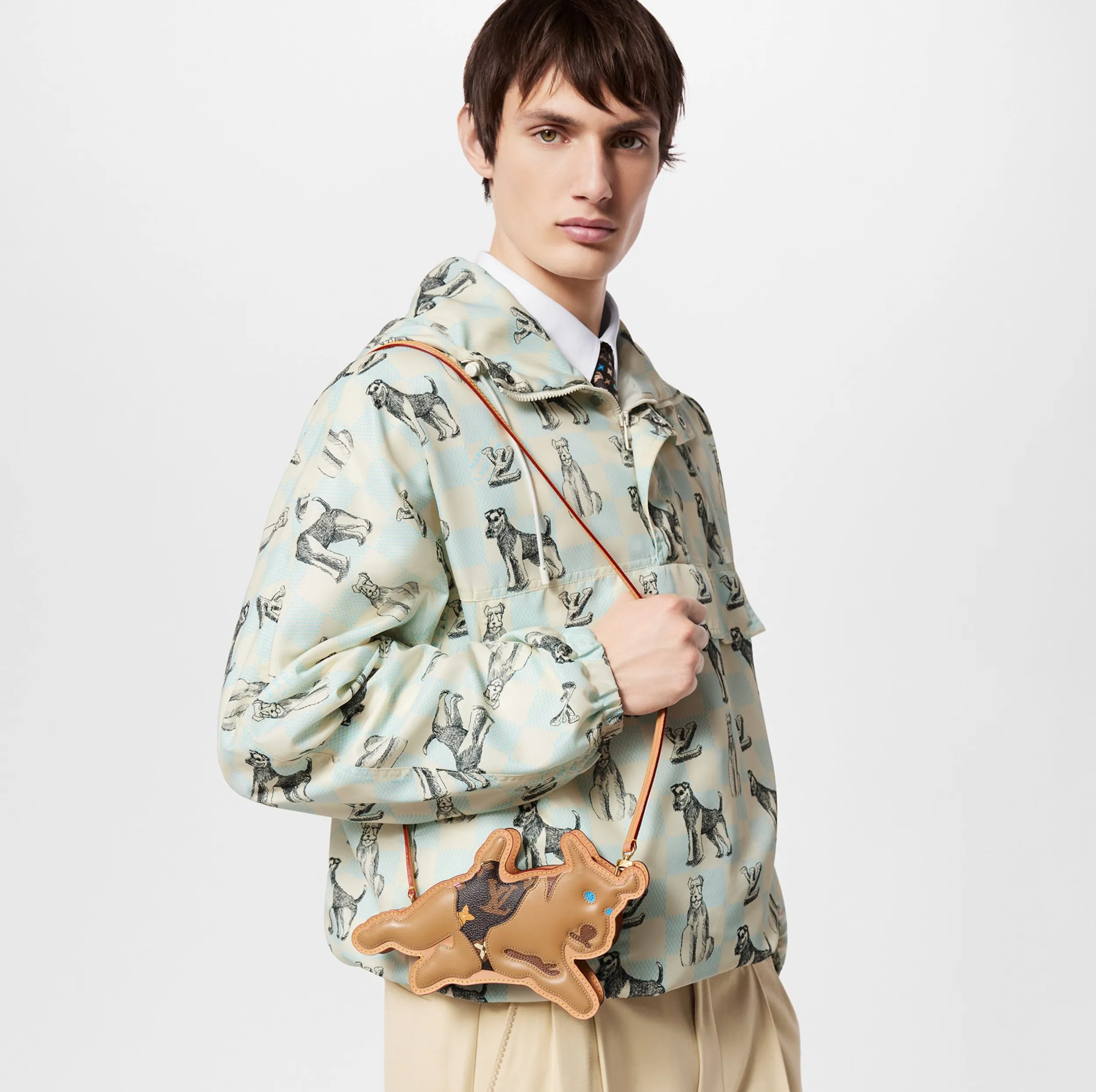Shop shoulder bags Bagsaaa X Tyler M83342 Dog On Strap Chocolate