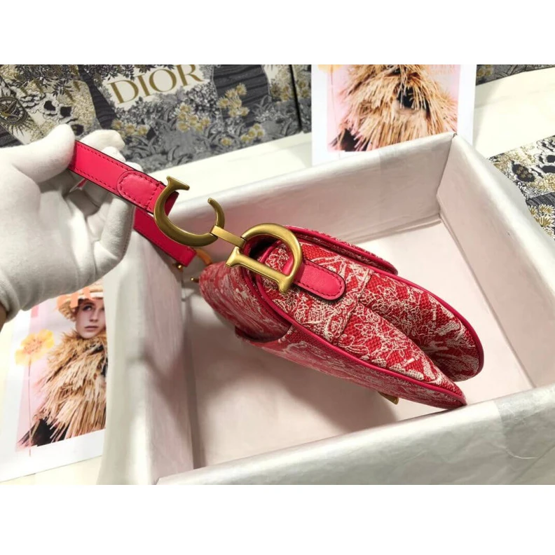 Louis vuitton locations 'CD' sign Christian Dior Saddle Bag Raspberry Toile de Jouy Reverse Jacquard