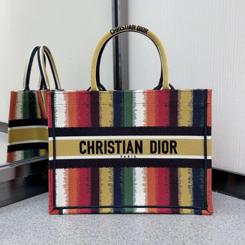 The Dior B Christian Dior Small Book Tote Multicolor D-Stripes Embroidery