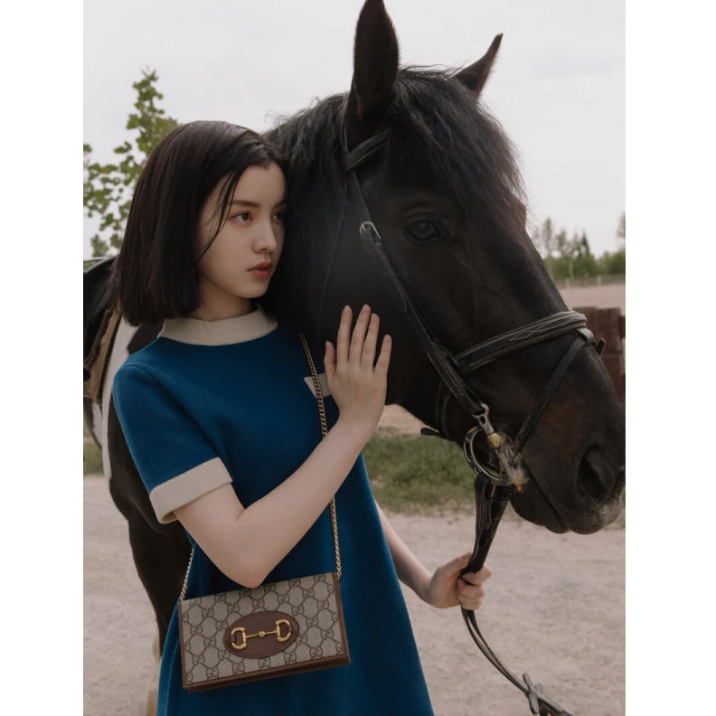 Kitlife Snap butt Gucci 1955 Horsebit Wallet With Chain Brown
