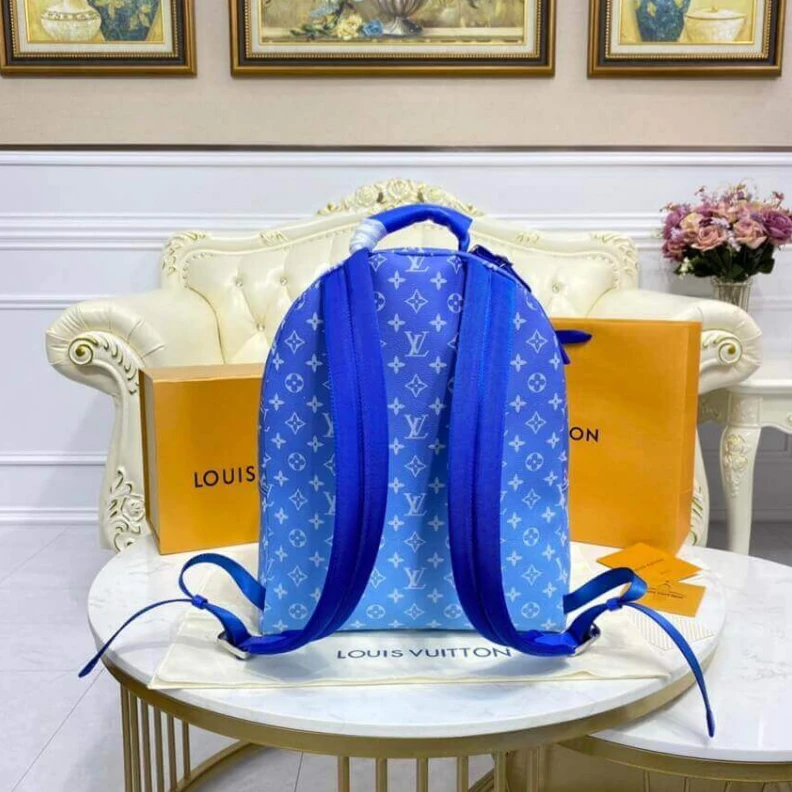 Top lv Adjustabl Louis Vuitton Backpack Multipocket