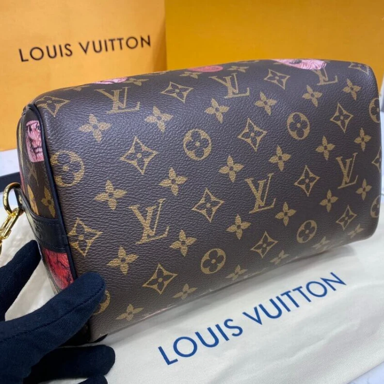 Top lv Microfibe Louis Vuitton Monogram Cameo Printed Speedy Bandouliere 25