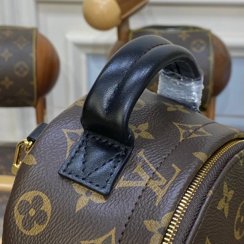 Mythick.ru Monogram LV Monogram Canvas Mini Palm Springs Backpack