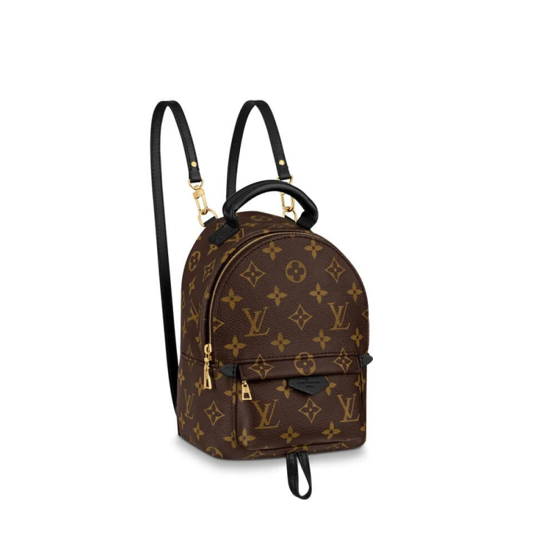 Monogram LV Monogram Canvas Mini Palm Springs Backpack