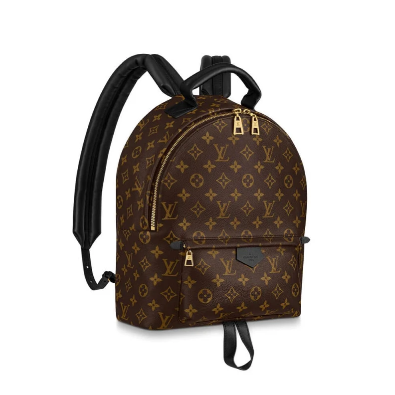 Goldcolor LV Monogram Palm Springs MM