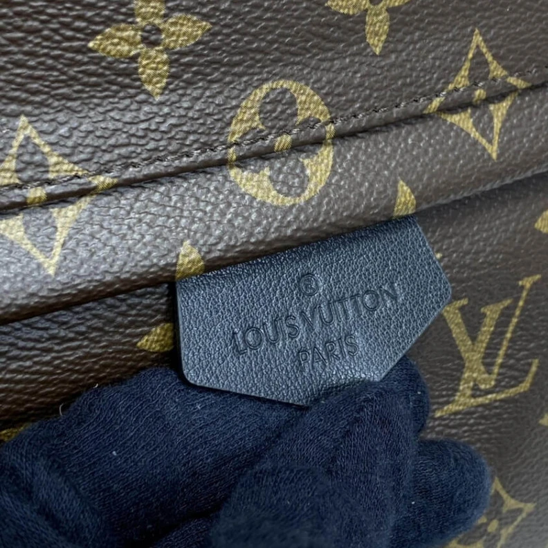 Mythick Goldcolor LV Monogram Palm Springs MM