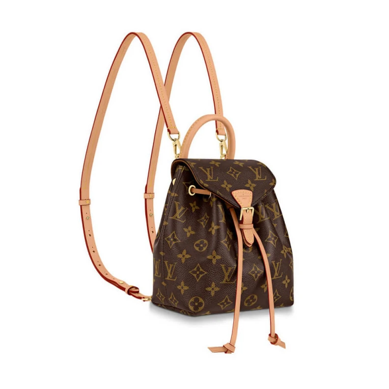 Monogram LV Montsouris BB Backpack