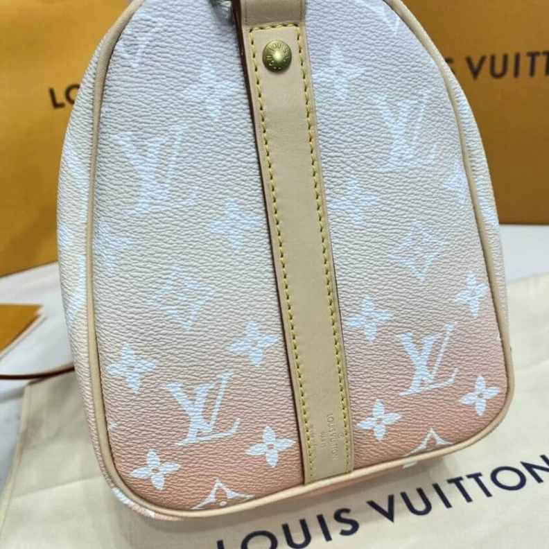 Lv belts replica Natural c Louis Vuitton Speedy Bandouliere 25 Brume Gray