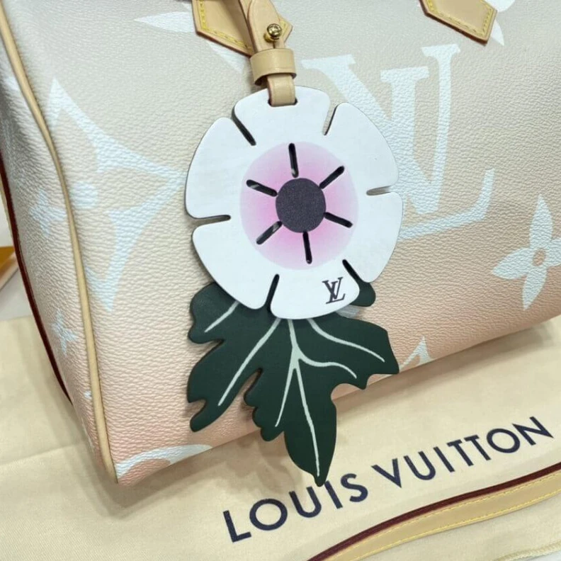 Lv belts replica Natural c Louis Vuitton Speedy Bandouliere 25 Brume Gray