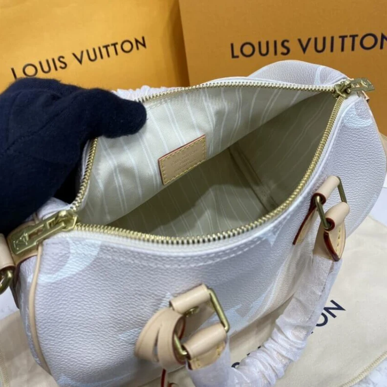Lv belts replica Natural c Louis Vuitton Speedy Bandouliere 25 Brume Gray