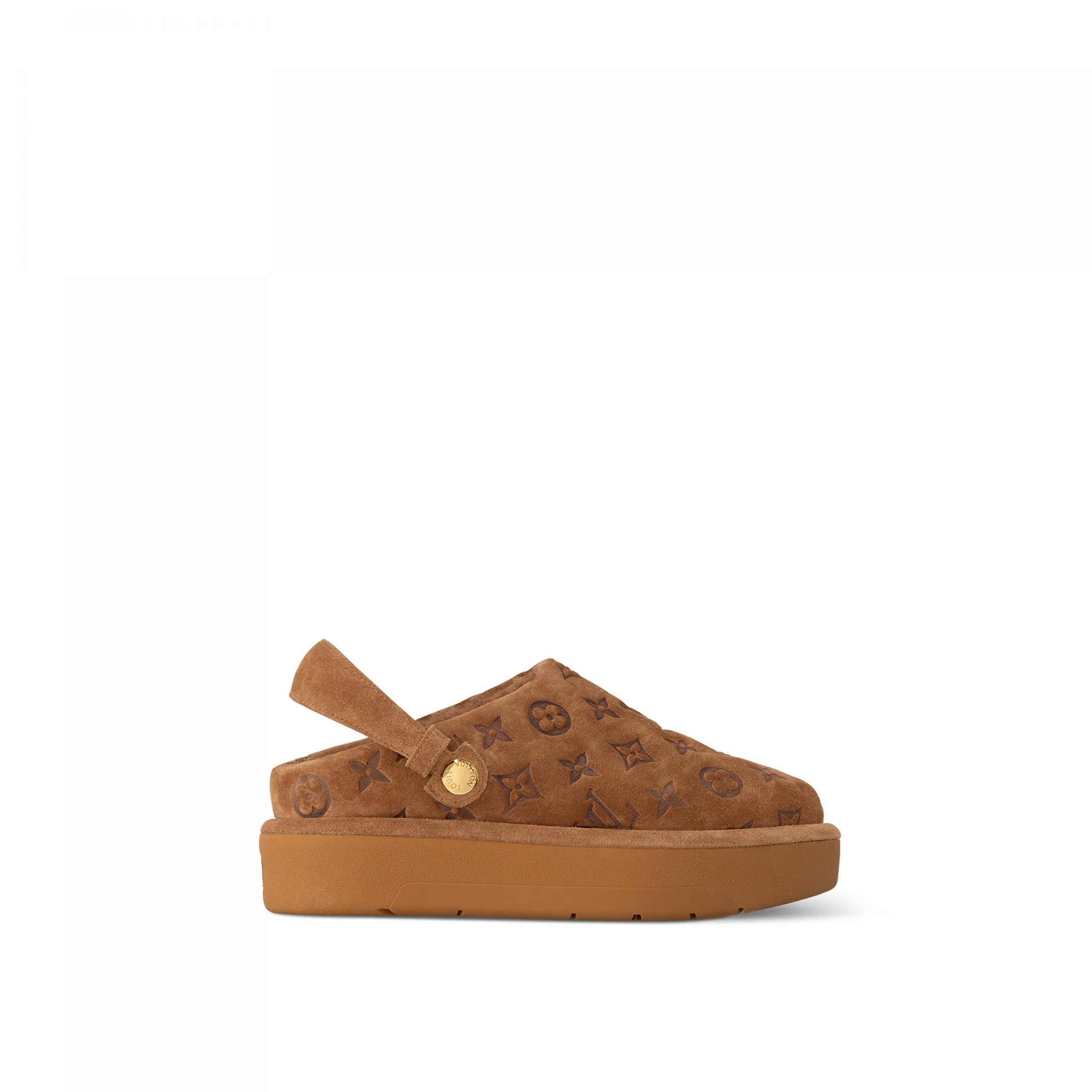 Louis Vuitton Aspen Platform Clog Brown 1ACHWJ