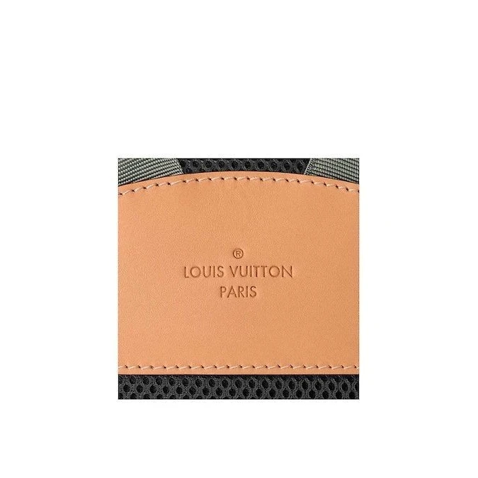 Replica bag Louis Vuitton Backpack PM M43882