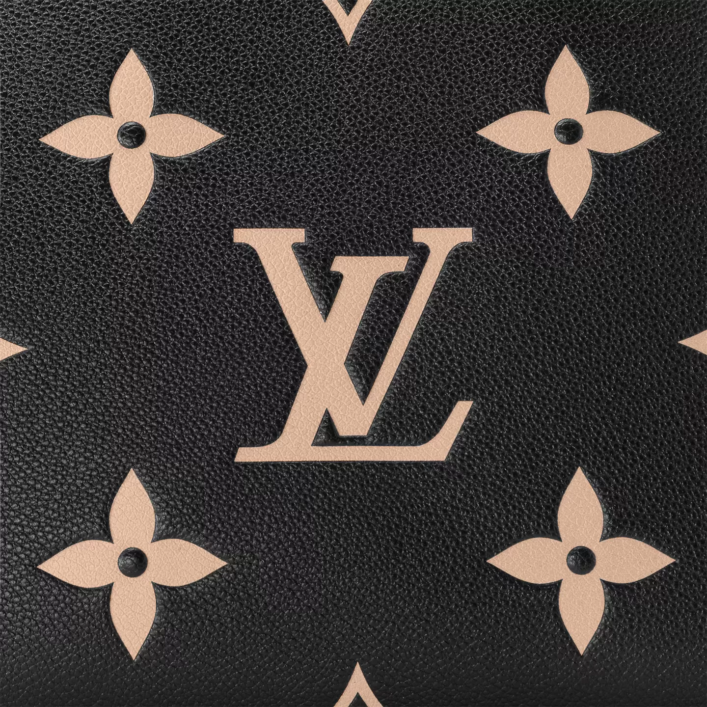 Mythick ru Louis Vuitton Bicolor Monogram Empreinte Leather M58913 Petit Palais