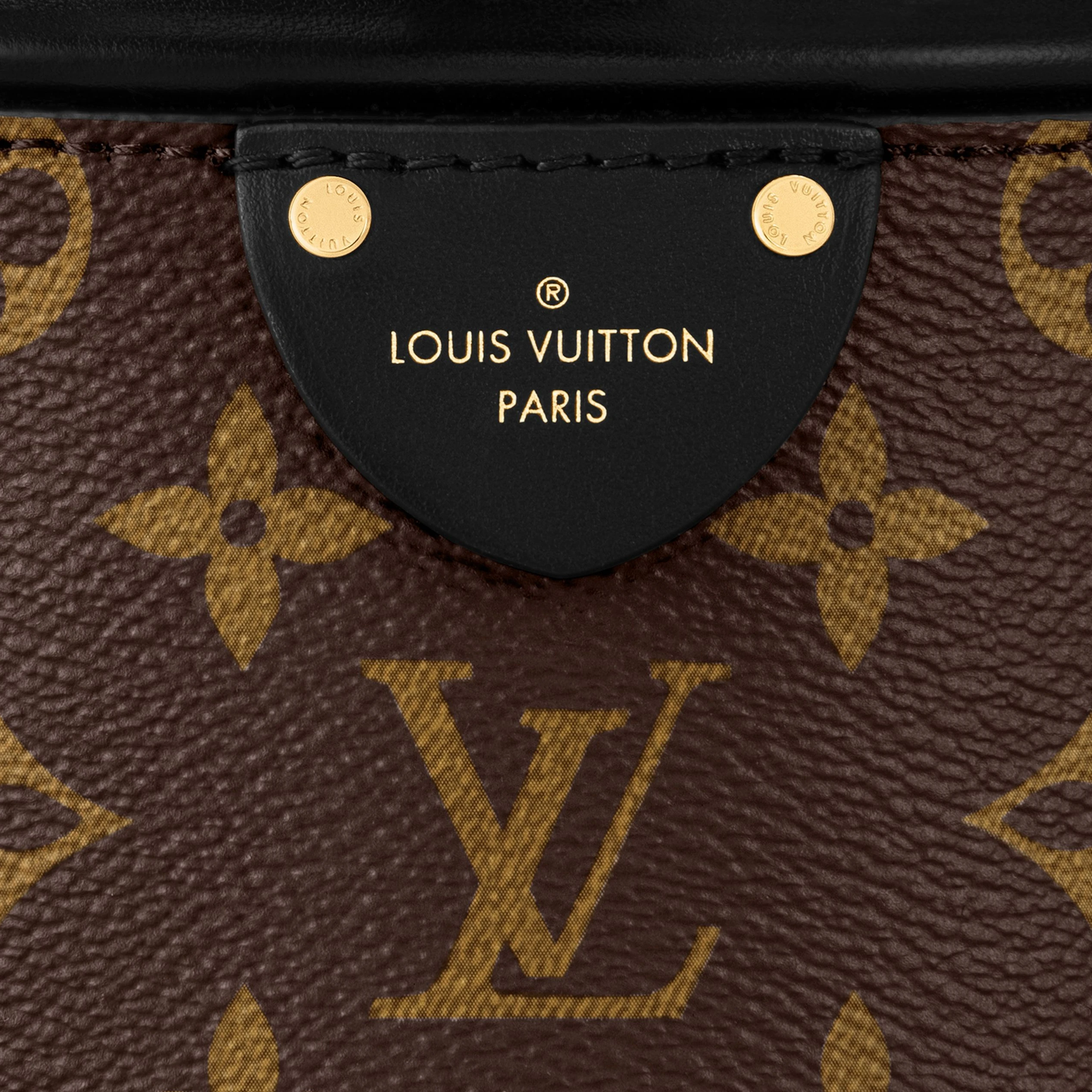 Replica bag Louis Vuitton Canoé M83480 Monogram