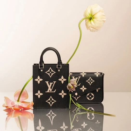 Replica bag Louis Vuitton Félicie Pochette Gray M69977 Black M80482