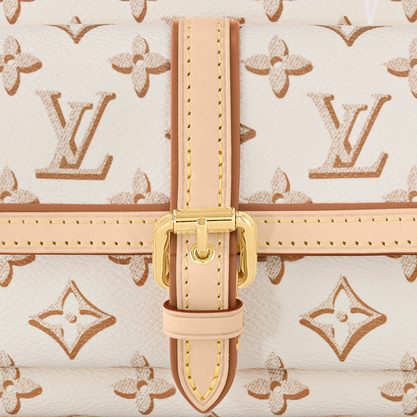Mythick.ru Louis Vuitton M20920 Maxi Pochette Accessoires
