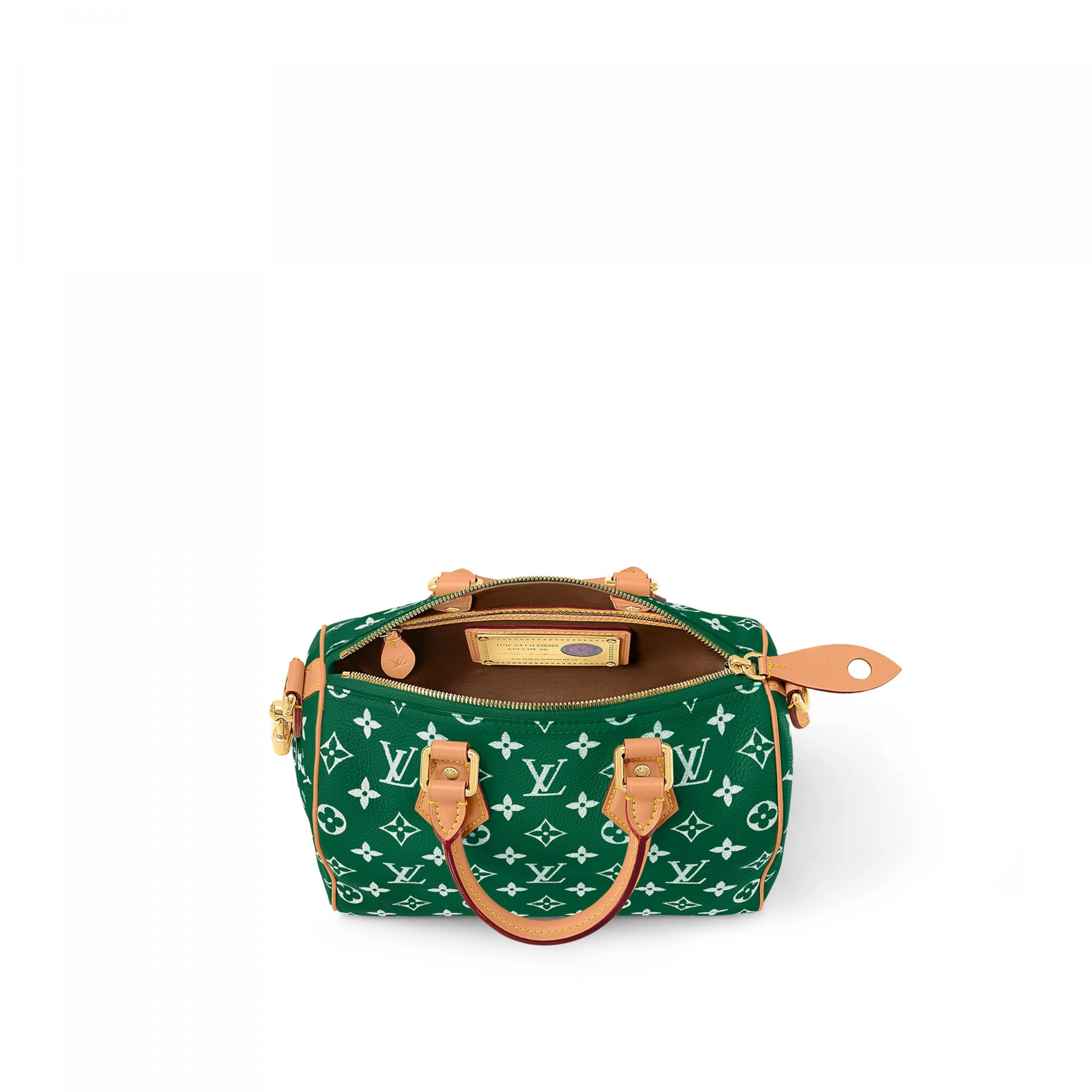 Replica bag Louis Vuitton M24423 Speedy P9 Bandoulière 25 Green