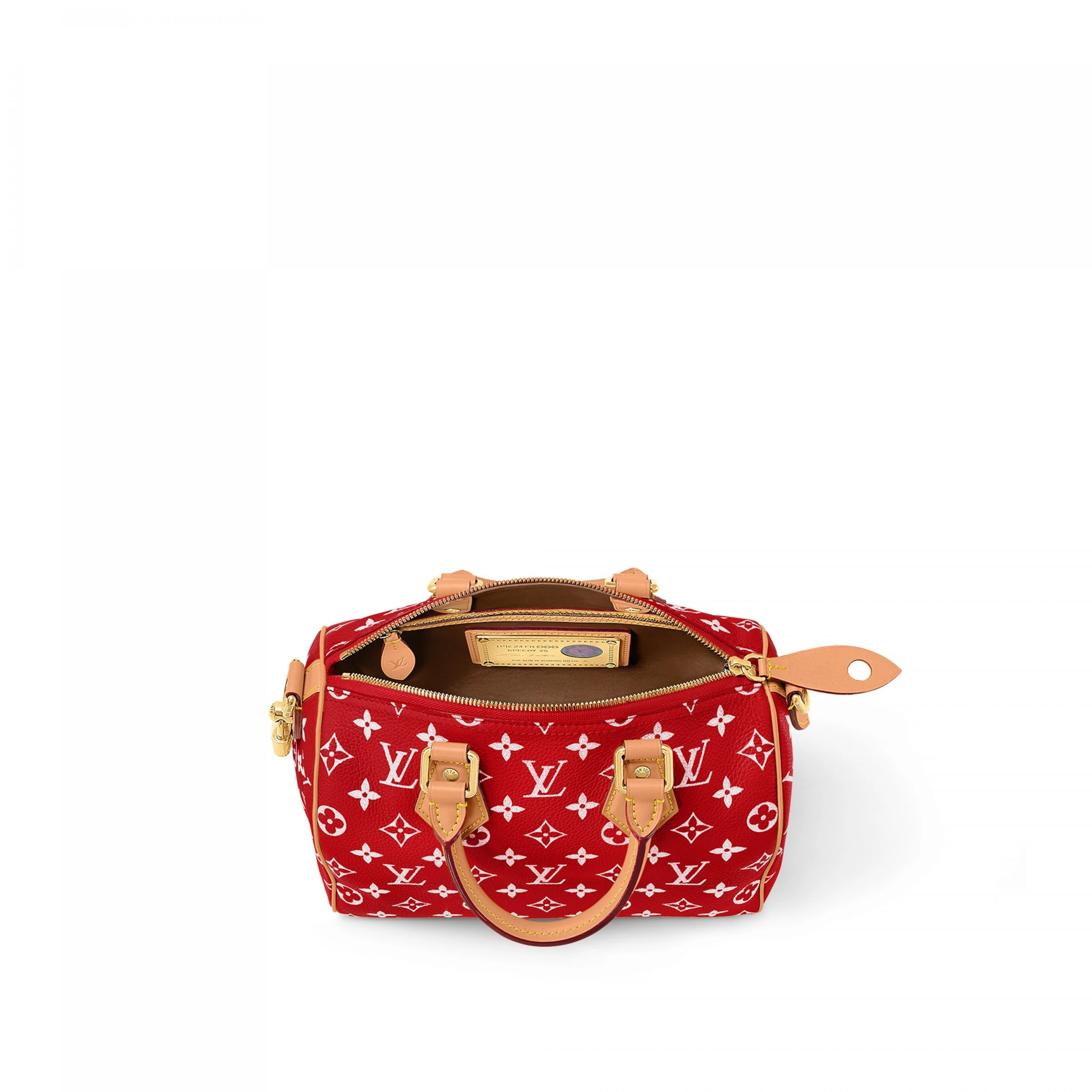 Replica bags lv Louis Vuitton M24425 Speedy P9 Bandoulière 25 Red