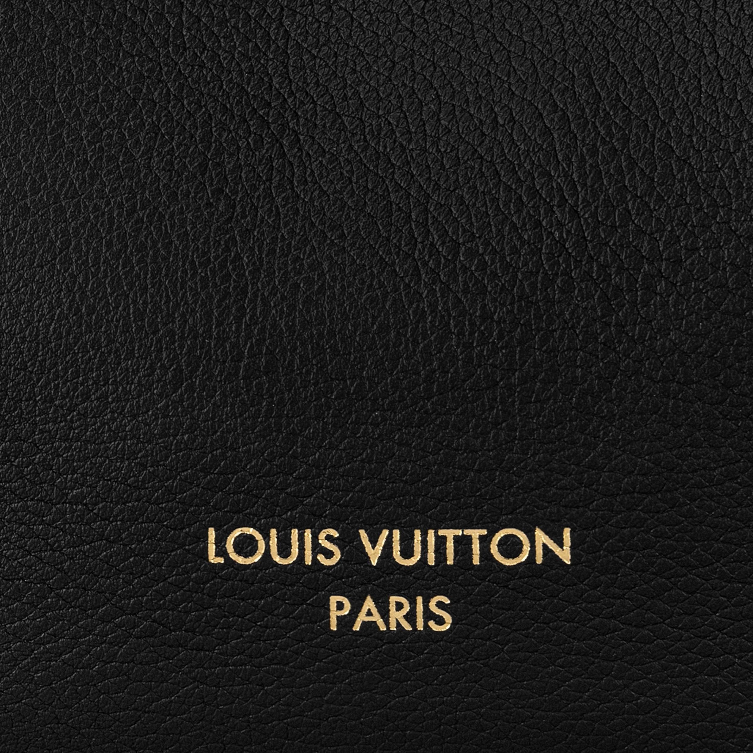 Mythick.ru Louis Vuitton M24856 Low Key Hobo MM Black