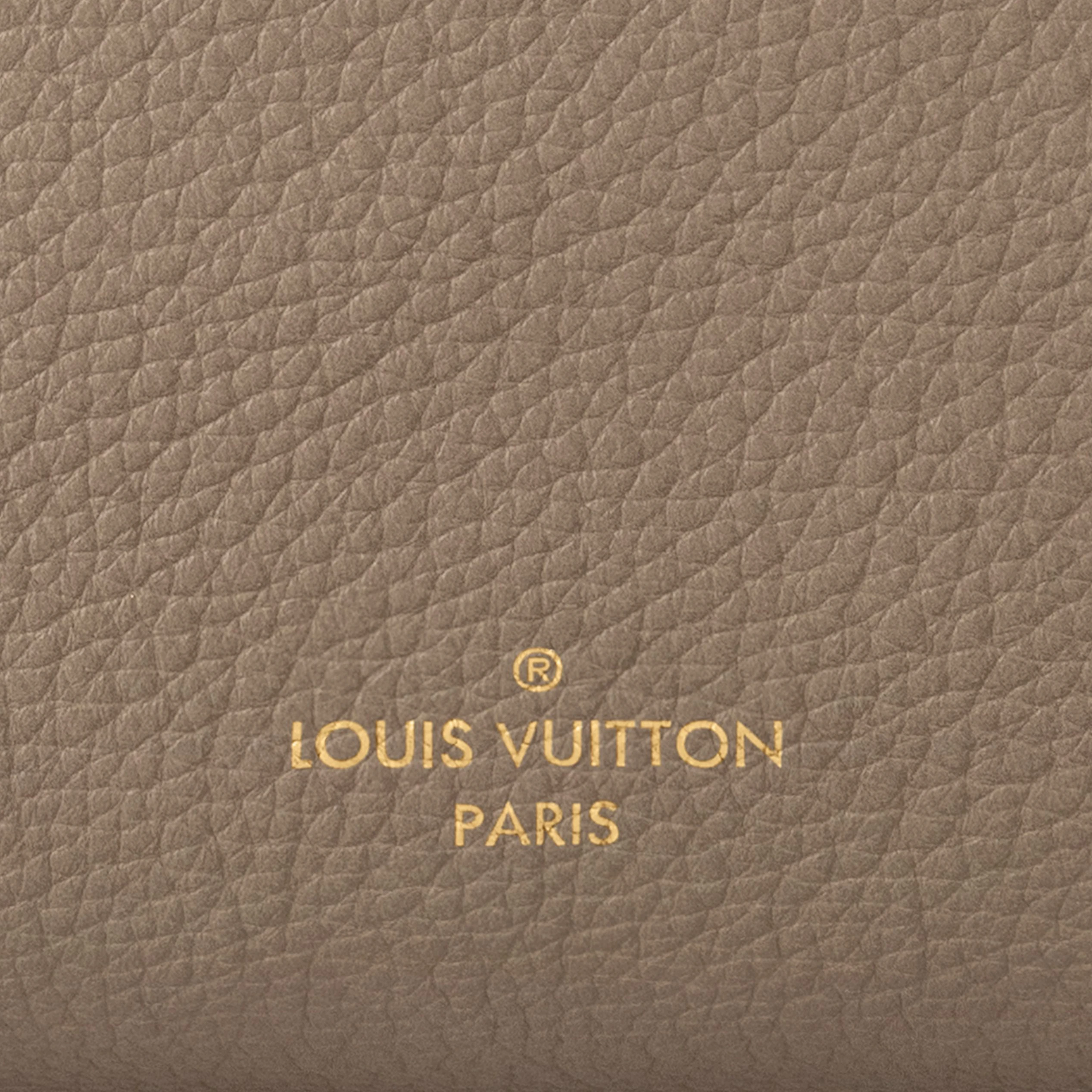 Top lv Louis Vuitton M25072 Side Trunk MM Taupe