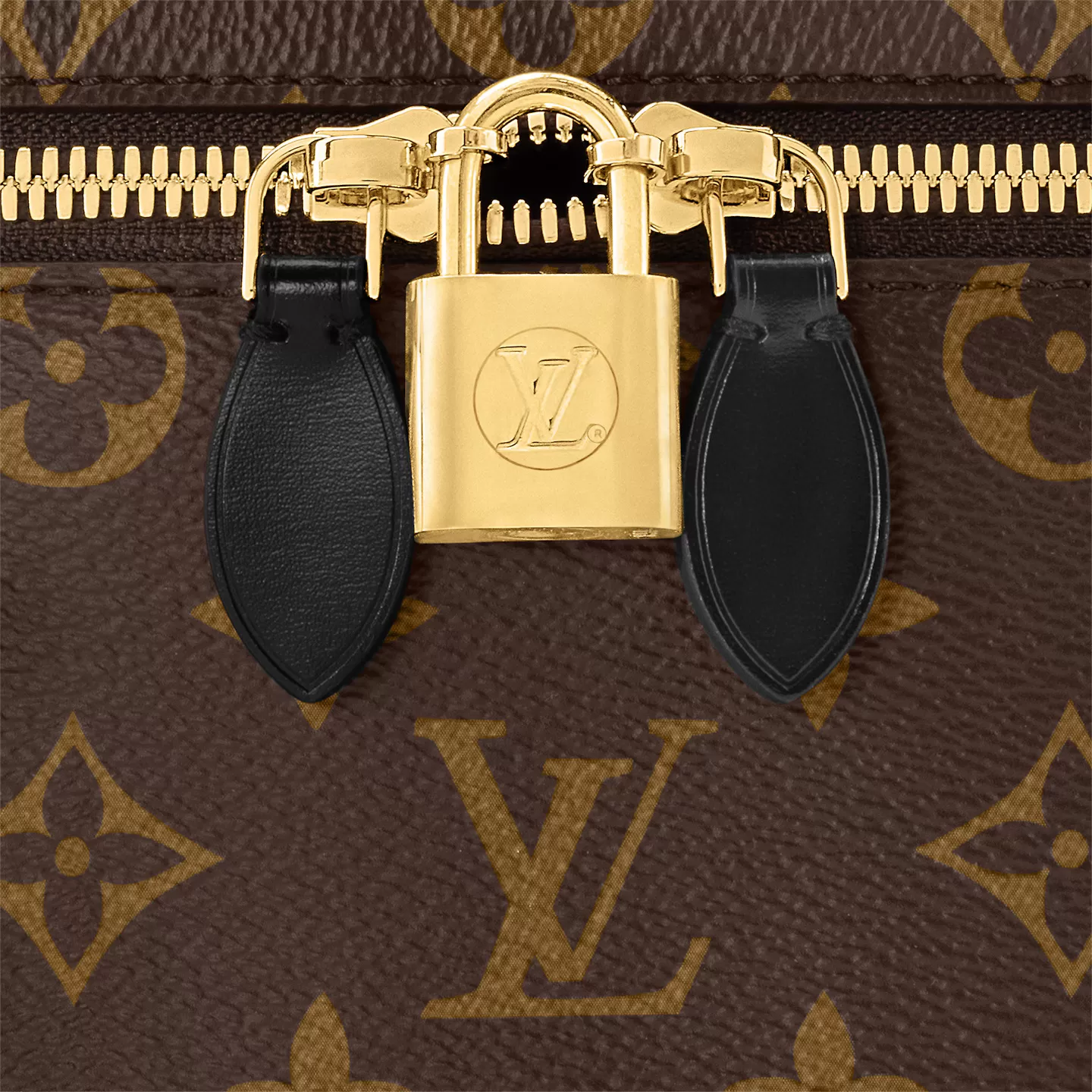 Mythick Louis Vuitton M45165 Vanity PM Monogram