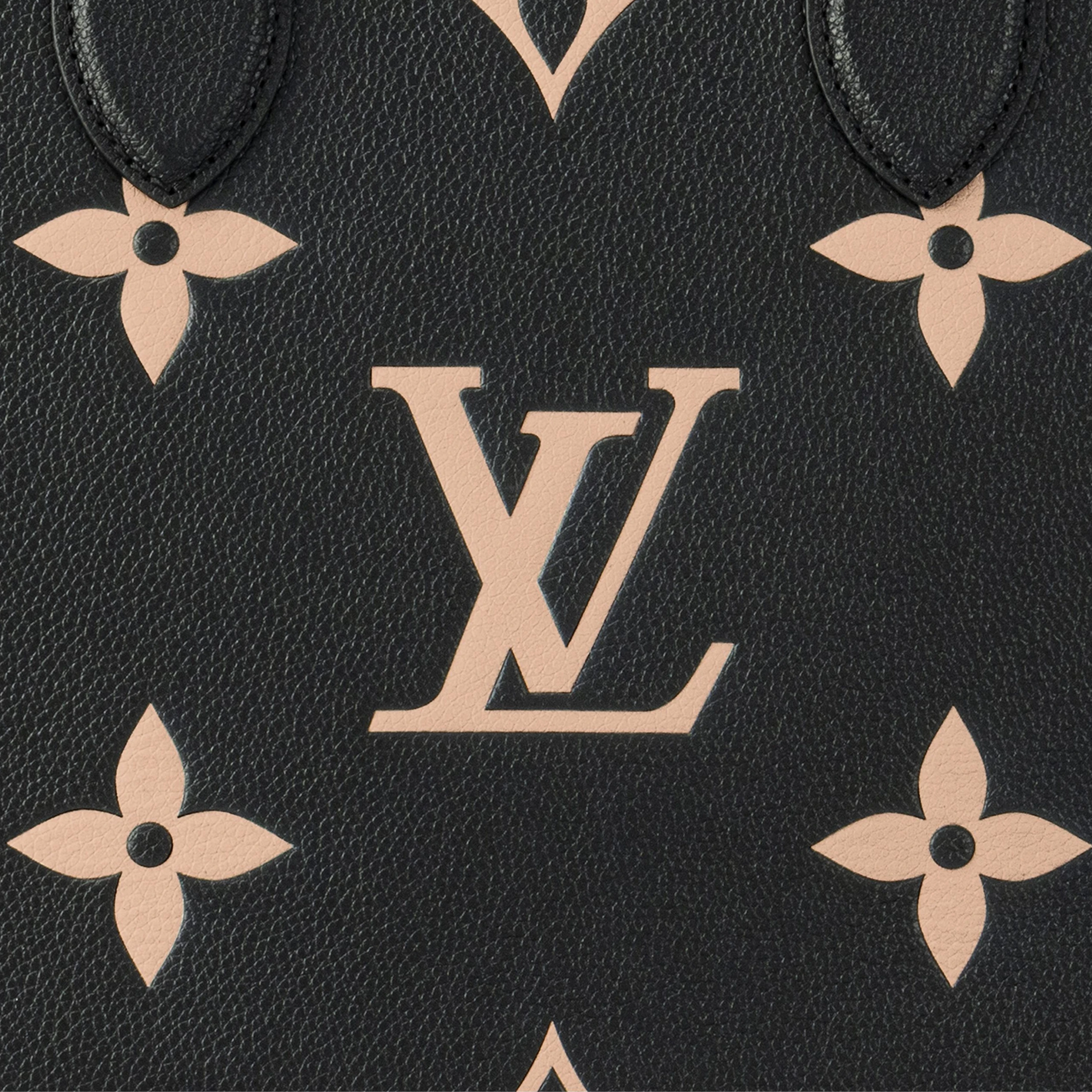 Top lv Louis Vuitton M45495 Onthego MM