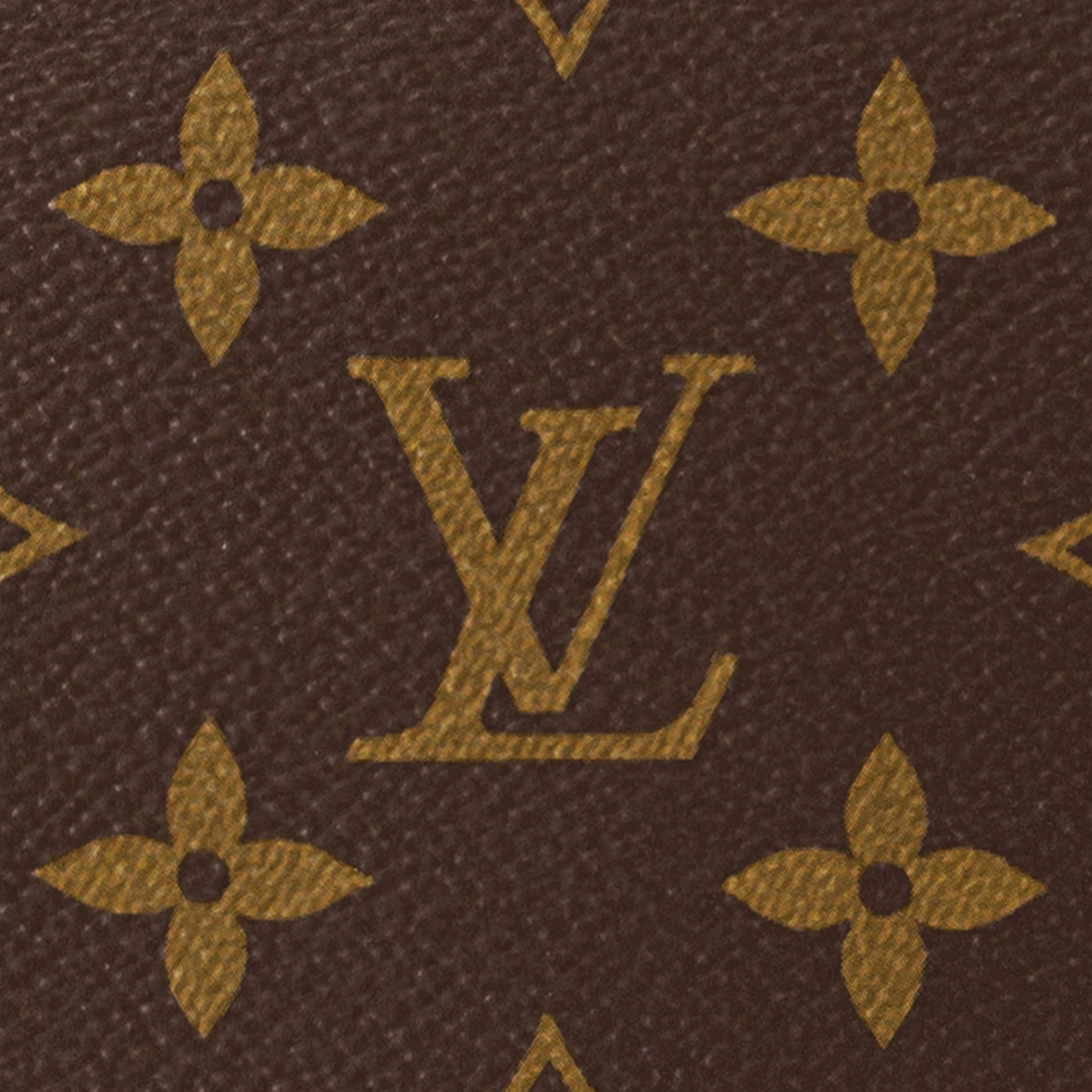 Top lv Louis Vuitton M46311 Loop Hobo Monogram