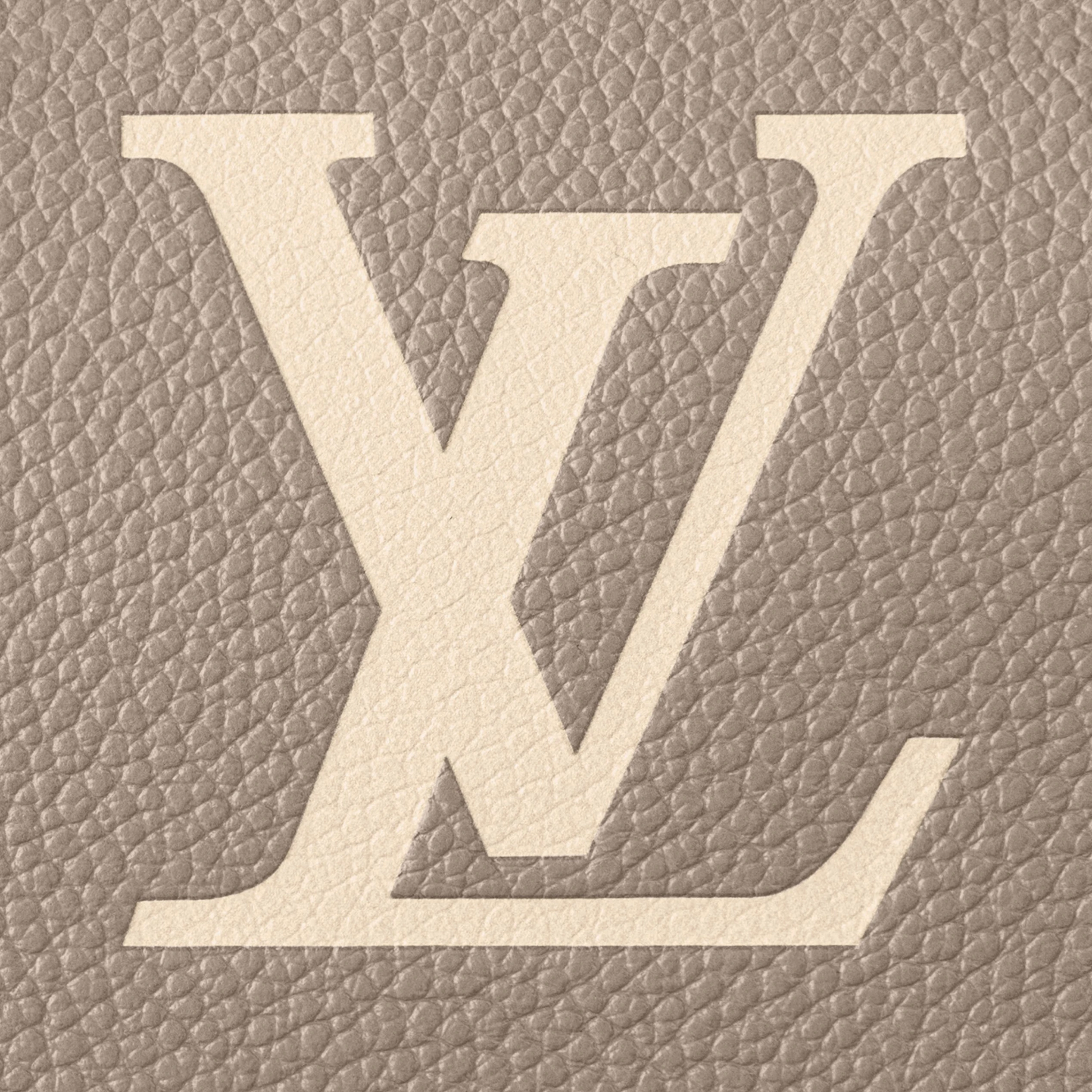 Replica bag Louis Vuitton M46575 Speedy Bandoulière 20 Tourterelle Gray