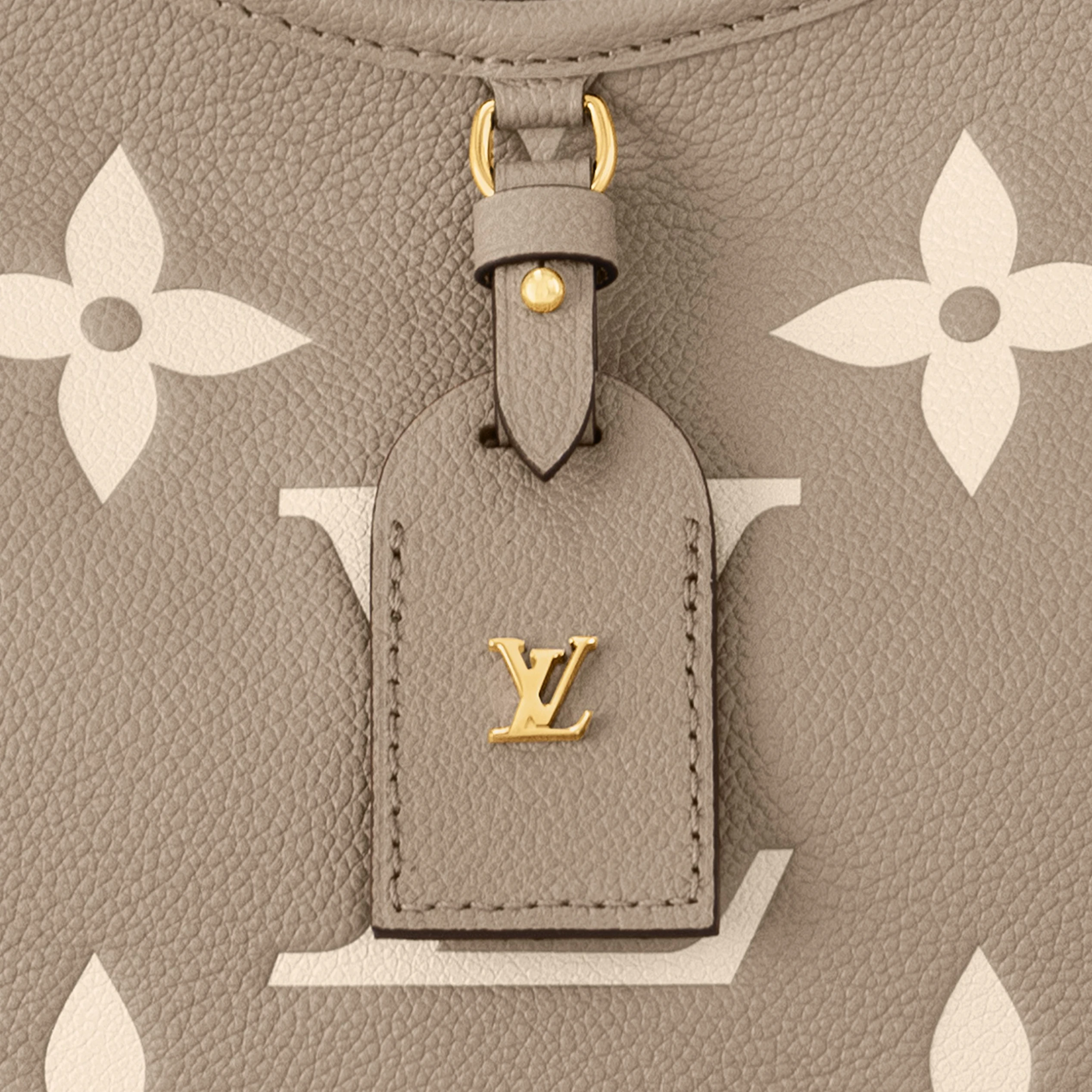 Louis vuitton locations Louis Vuitton M47180 CarryAll PM Tourterelle Gray
