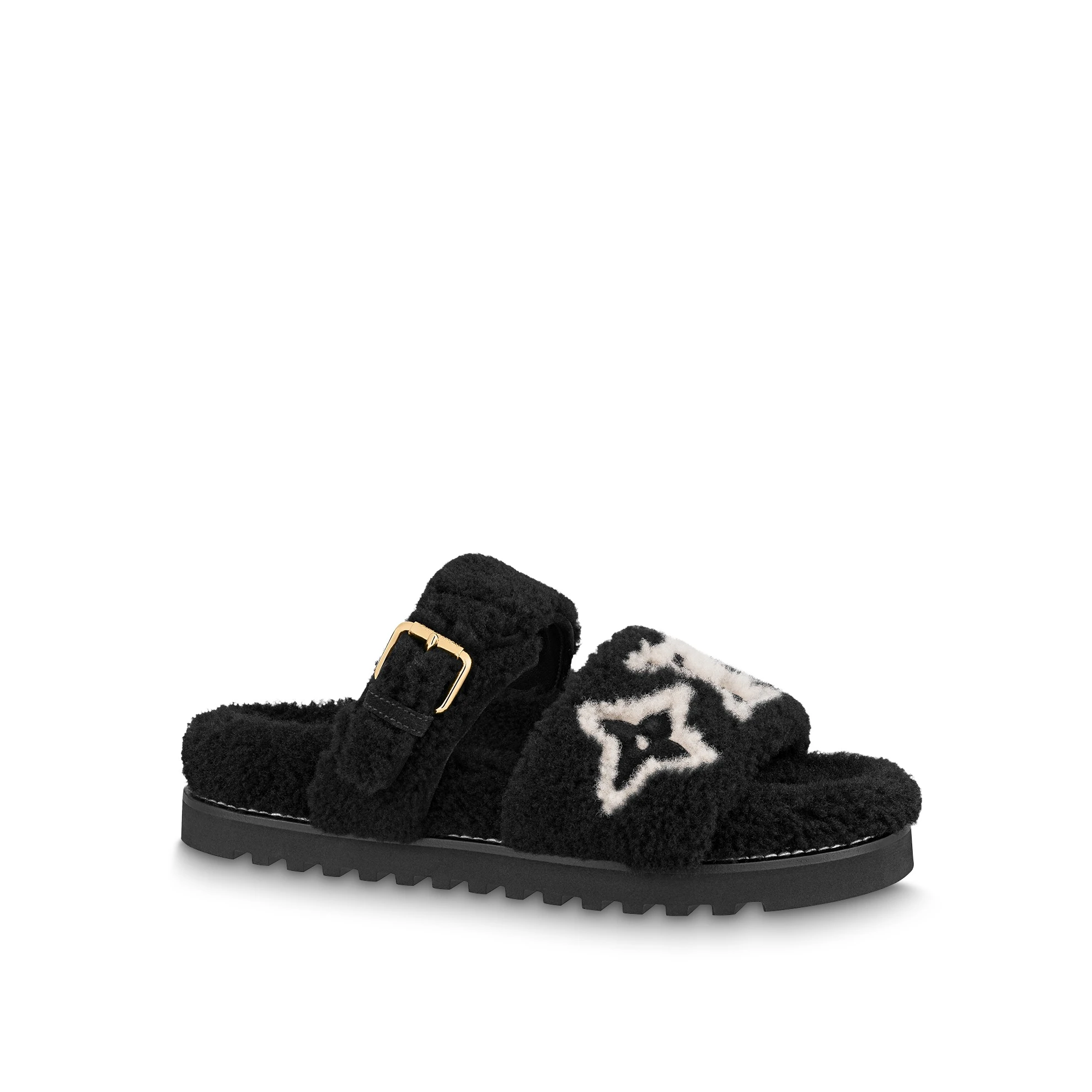 Louis Vuitton Paseo Flat Comfort Mules Black 1AACR9