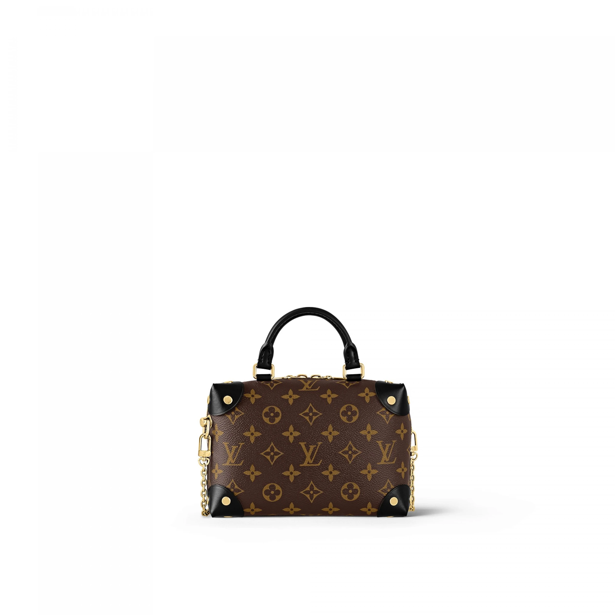 Replica bags Louis Vuitton Petite Malle Souple M45571