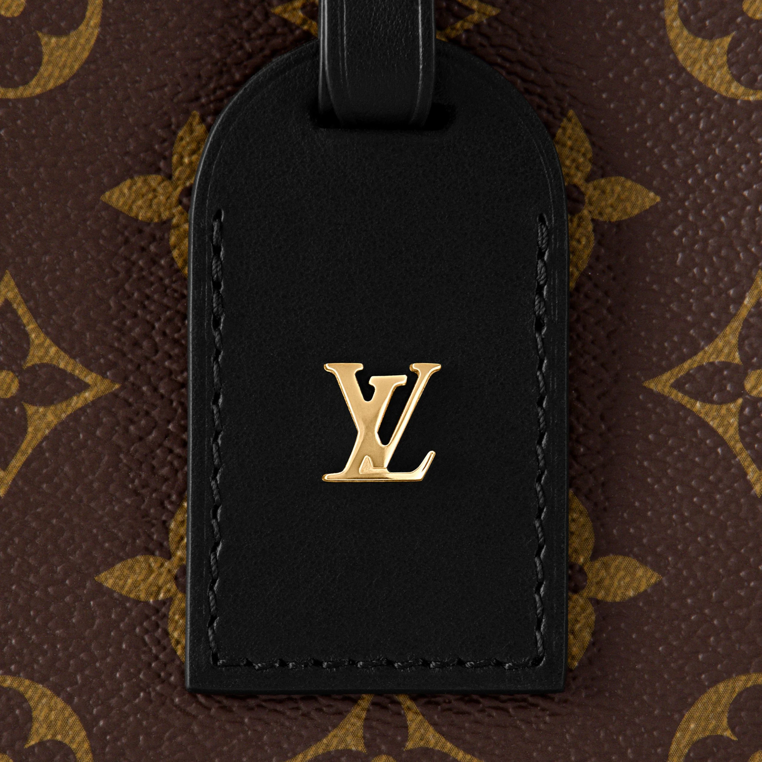 Replica bags Louis Vuitton Petite Malle Souple M45571