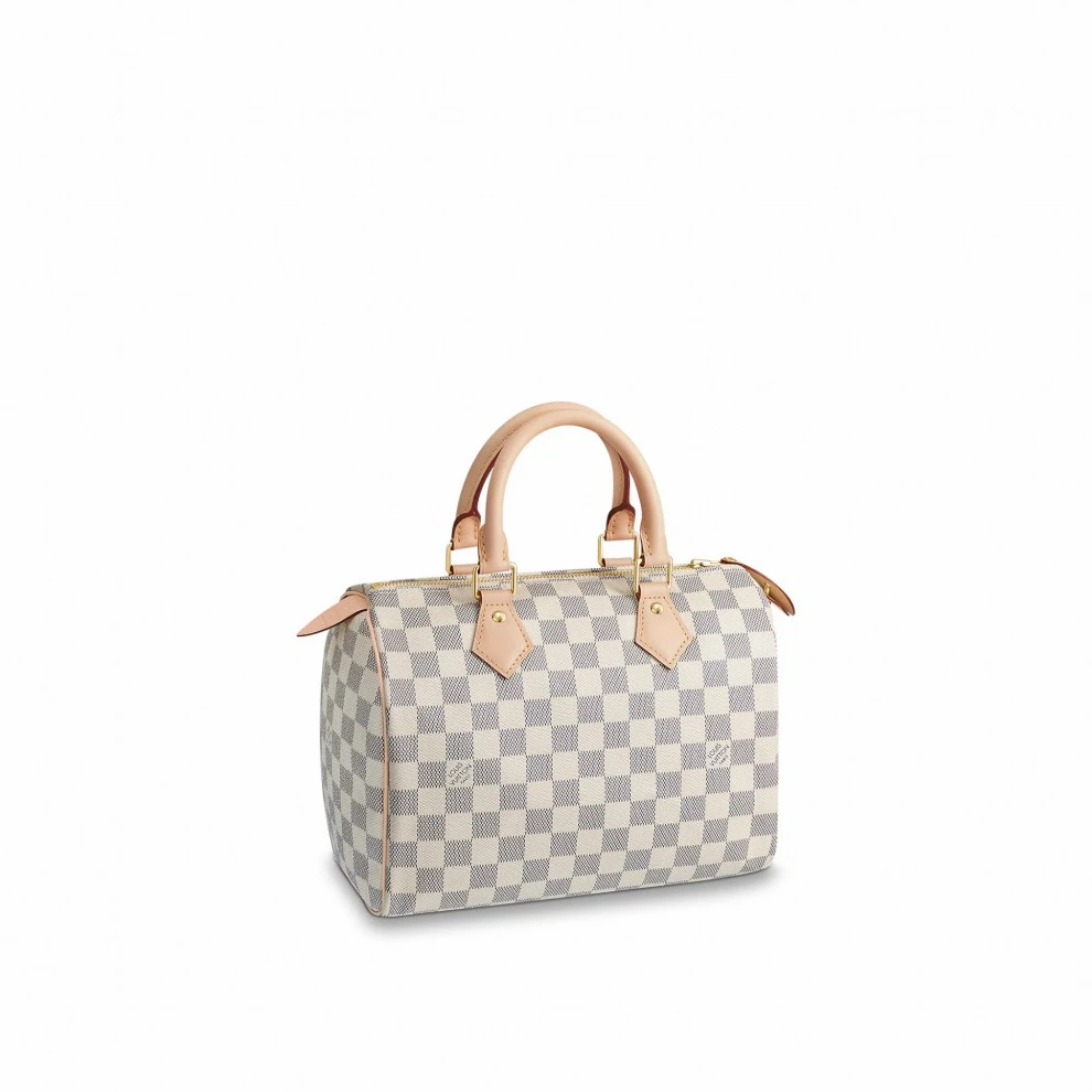 Louis Vuitton Speedy 25 N41371
