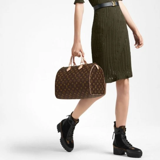 Louis Vuitton Speedy 35 M41107