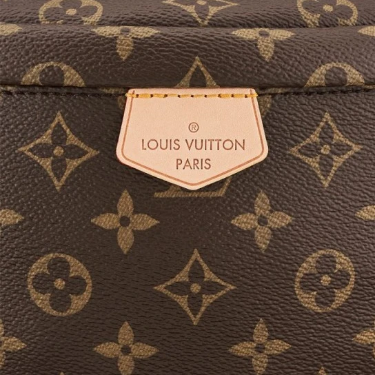 Top lv Louis Vuitton Belt Bag Monogram M43644 Bumbag