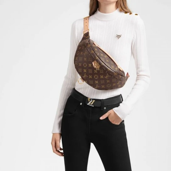 Top lv Louis Vuitton Belt Bag Monogram M43644 Bumbag