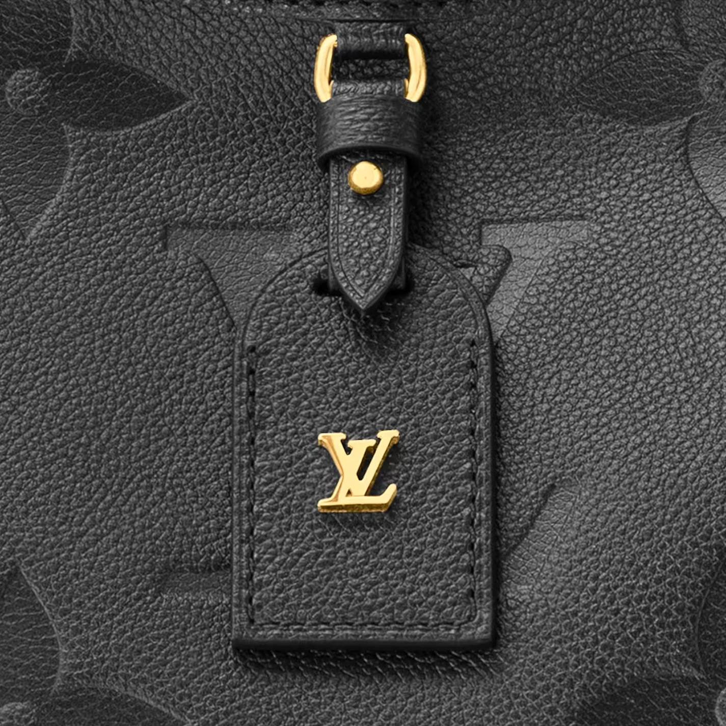 Replica bags Louis Vuitton Black M46289 CarryAll MM