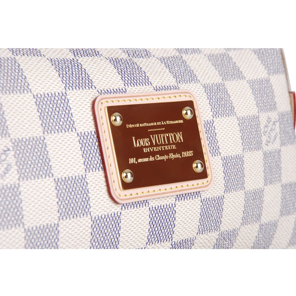 Top lv Louis Vuitton Eva N55214